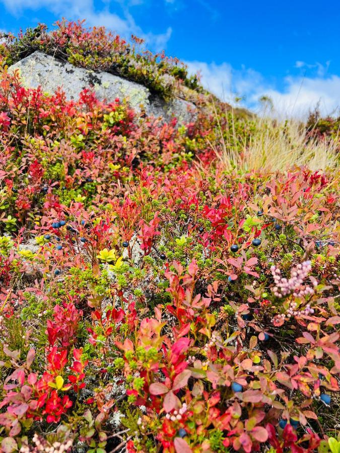 Flott Leilighet Pa Haugen I Sirdal Tjorhom Exterior foto