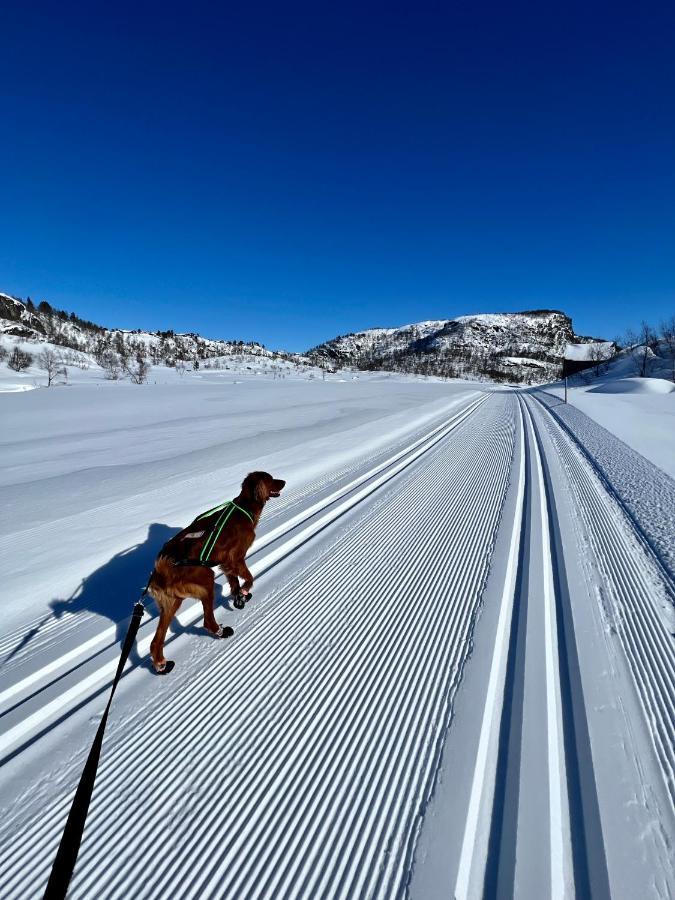 Flott Leilighet Pa Haugen I Sirdal Tjorhom Exterior foto