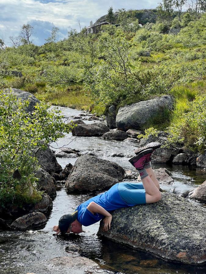 Flott Leilighet Pa Haugen I Sirdal Tjorhom Exterior foto